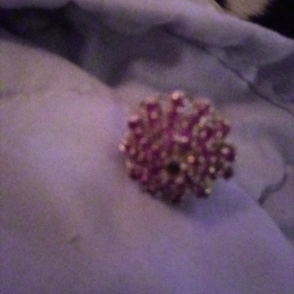 Princess Ring